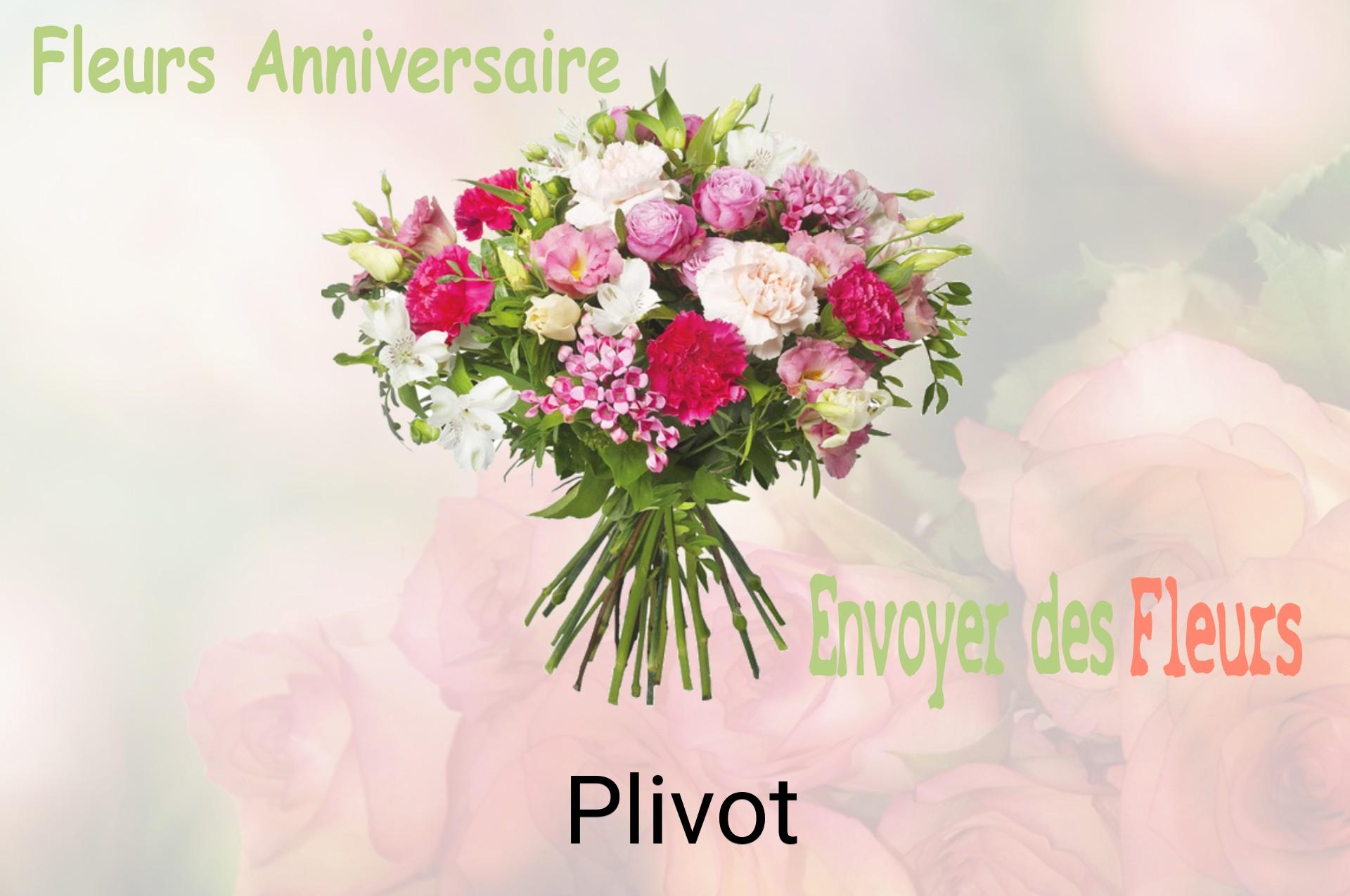 Bouquet de fleurs d’anniversaire livré à Plivot