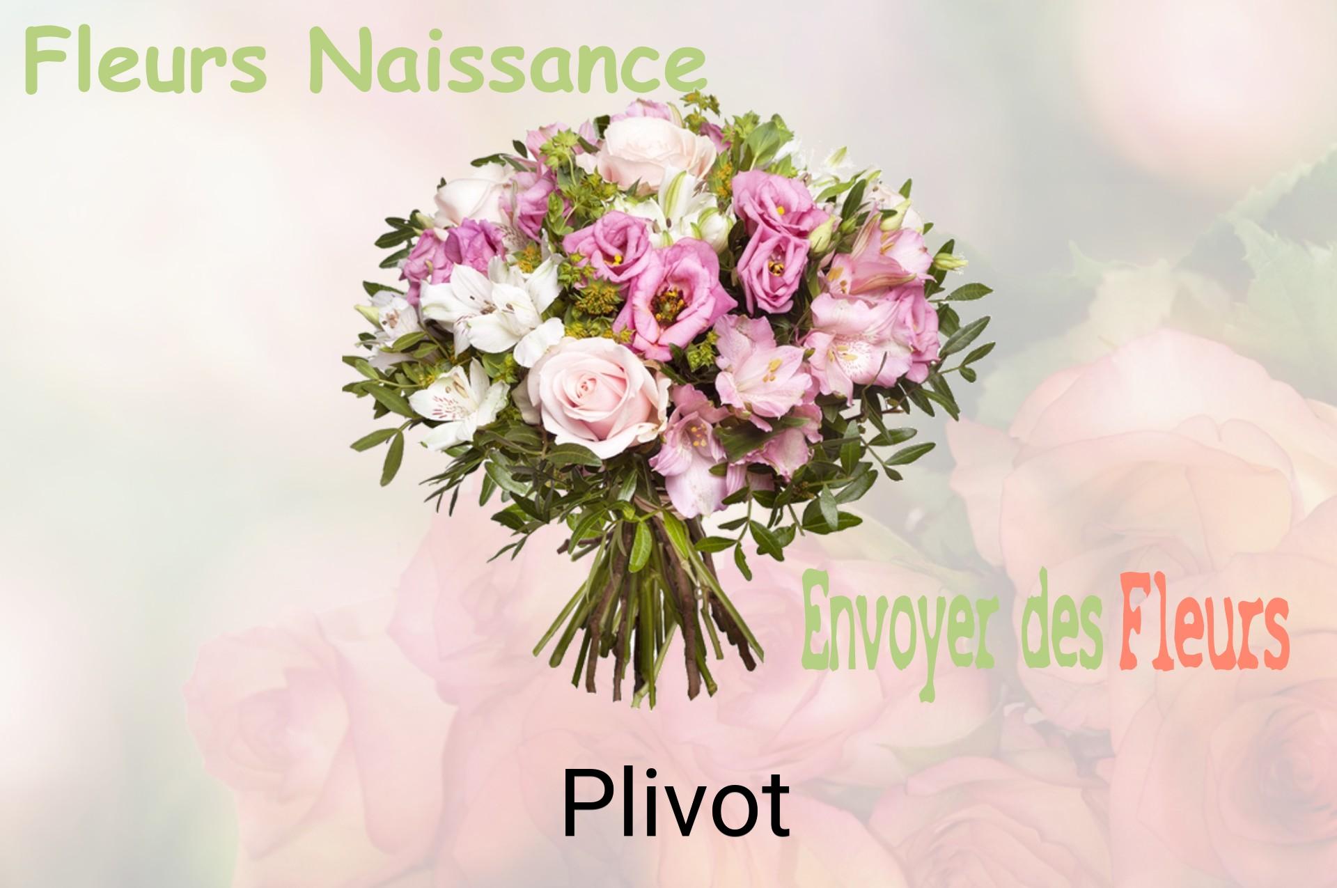 Bouquet de fleurs de naissance livré à Plivot