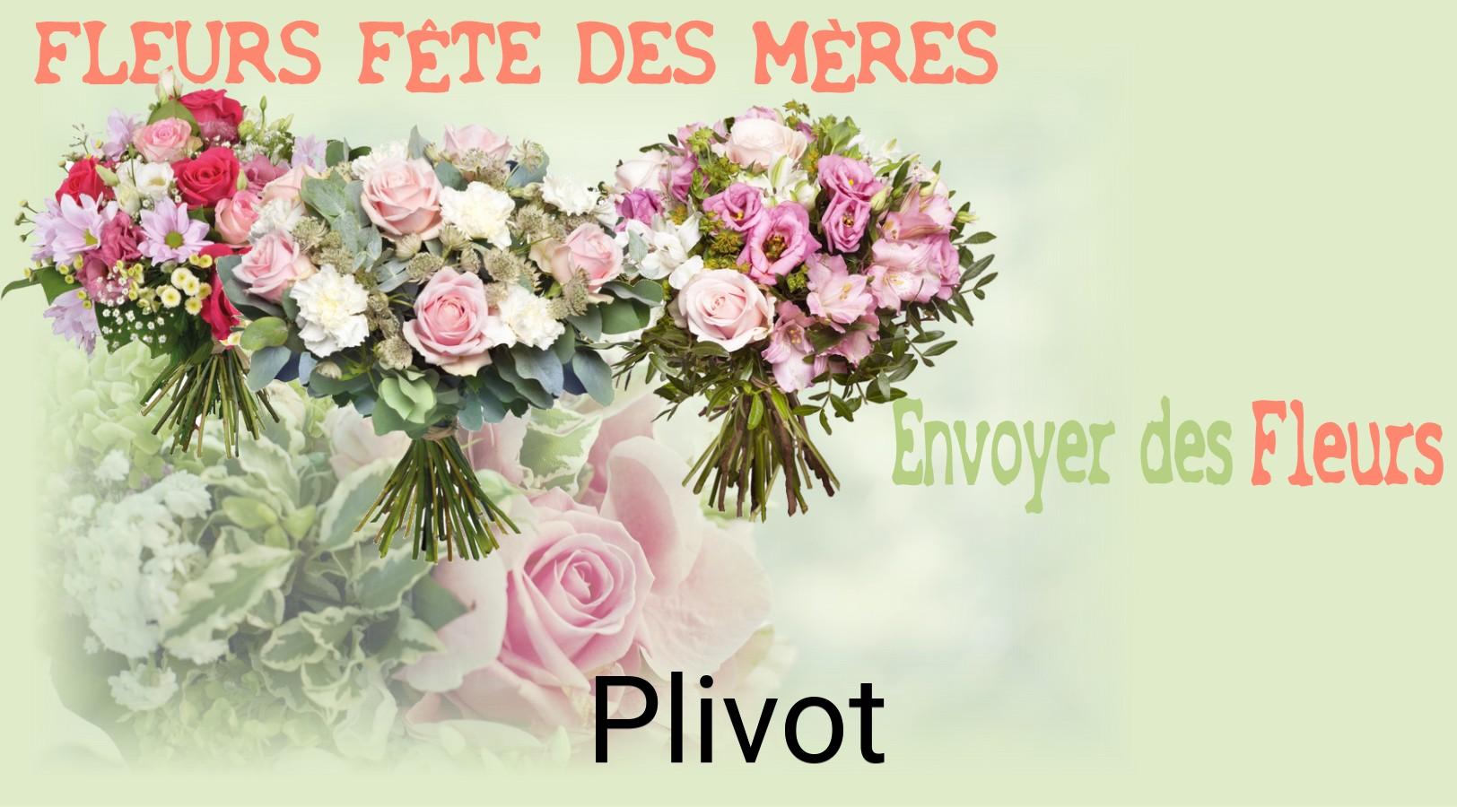 Bouquet de Fête des Mères livré à Plivot